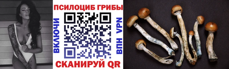 Галлюциногенные грибы прущие грибы  Купить  Буинск 