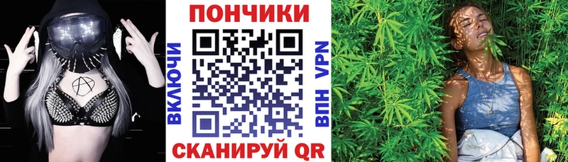 Купить  Буинск  Бошки Шишки THC 21% 